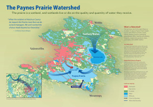 Watershed Paynes Prairie Preserve Visitor Center