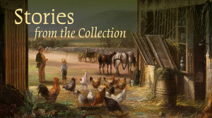 Stories from the Collection Fruitlands Museum of all the collections at the Fruitlands Museum, their land is the largest interpreting asset as their living collection