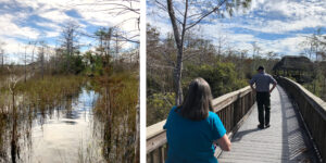Two images: the Florida National Historic Scenic Trail, and HP Williams Roadside Park