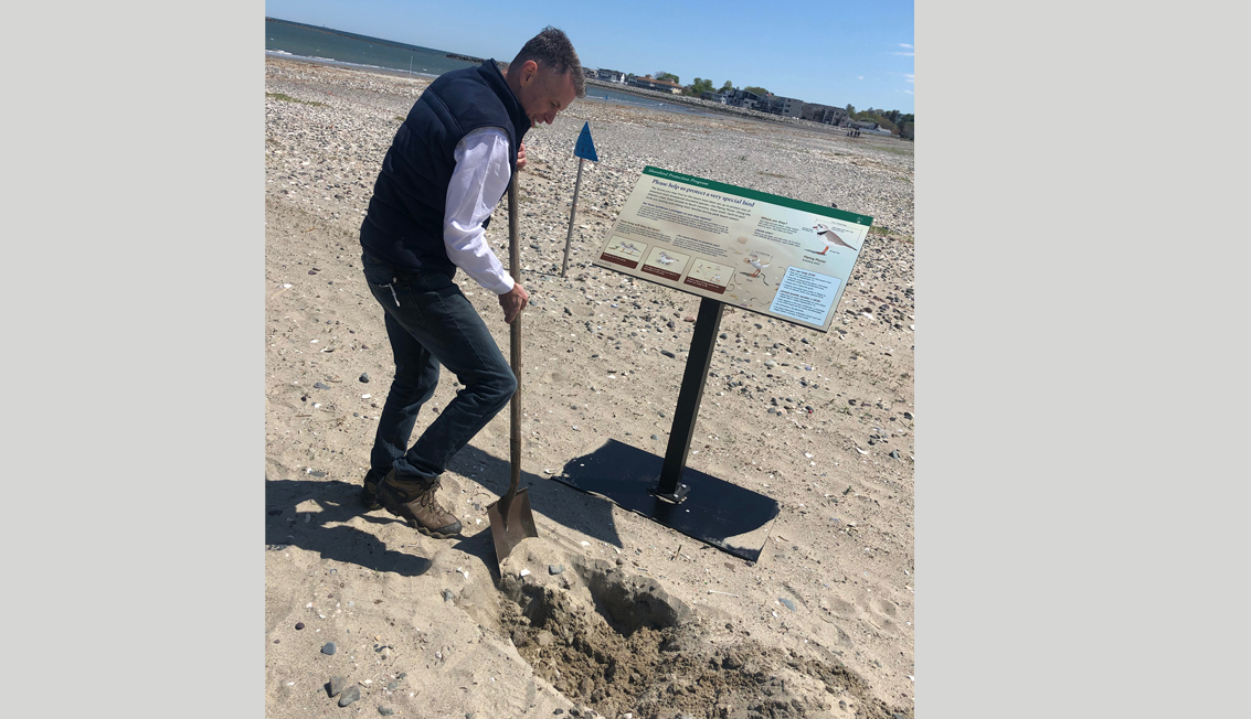 Man digging hole in sand for interpretive panel