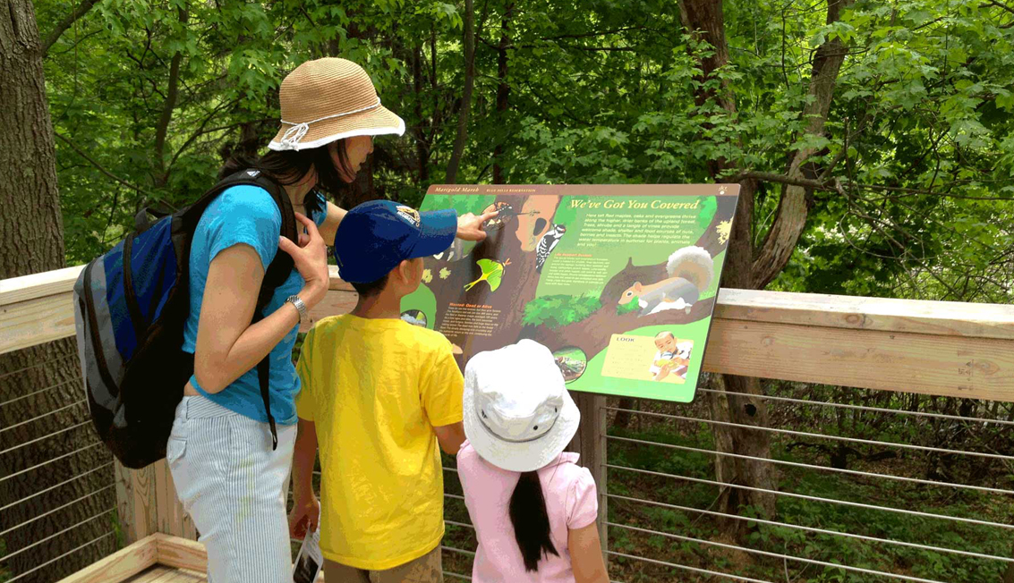 A mom and her two children viewing a wayside at Marigold Marsh in Milton.