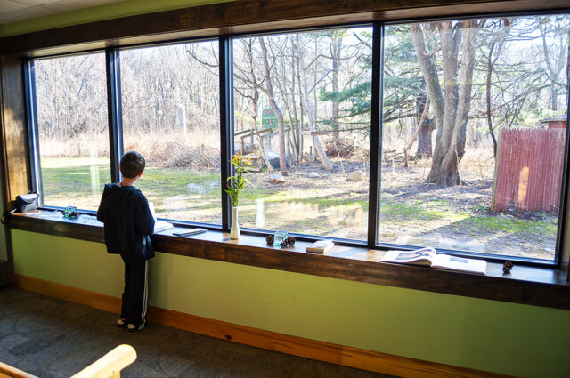 The new window overlooks the coastal woodland