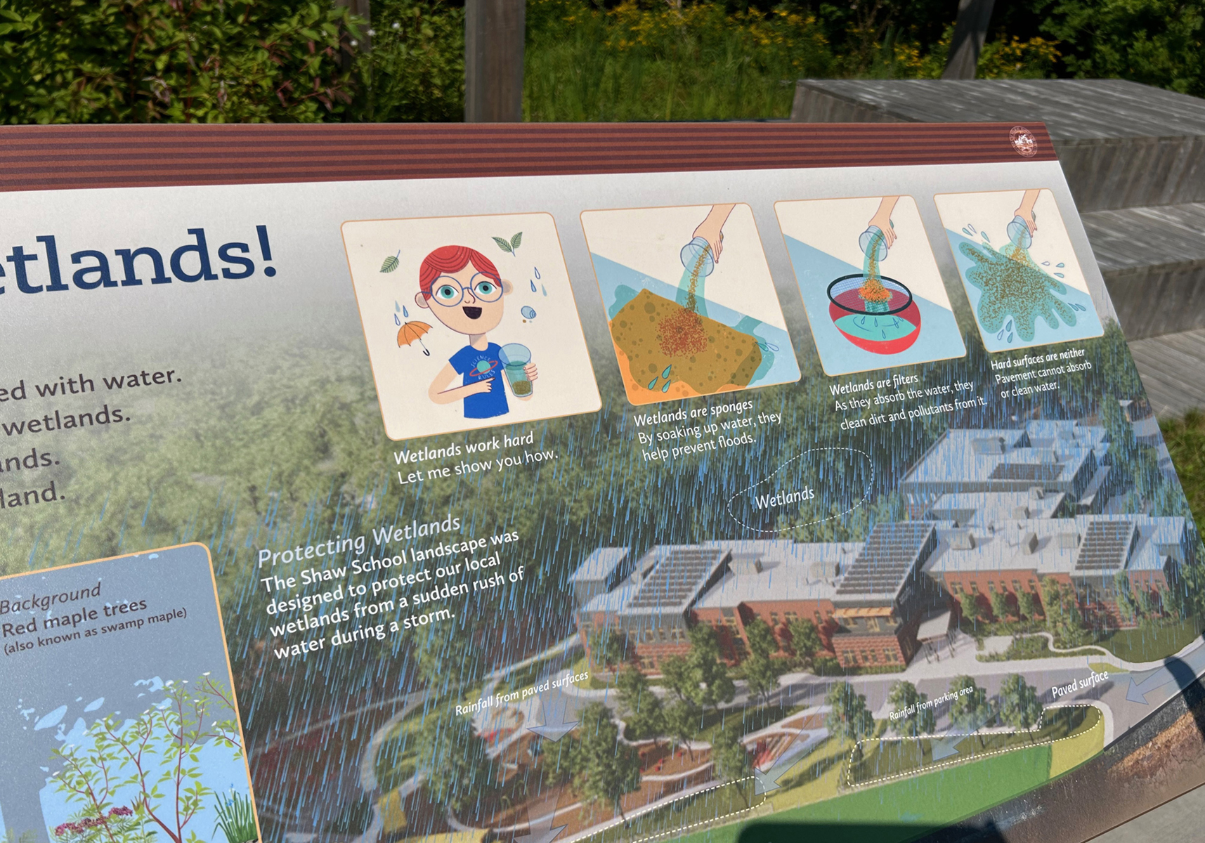 Detail of watershed panel