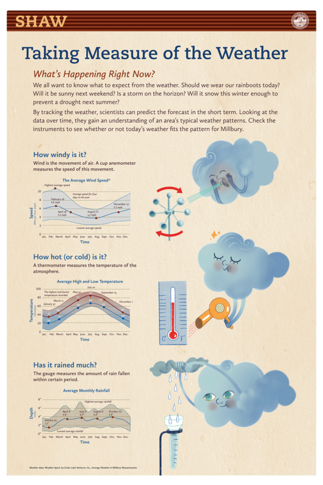 The weather